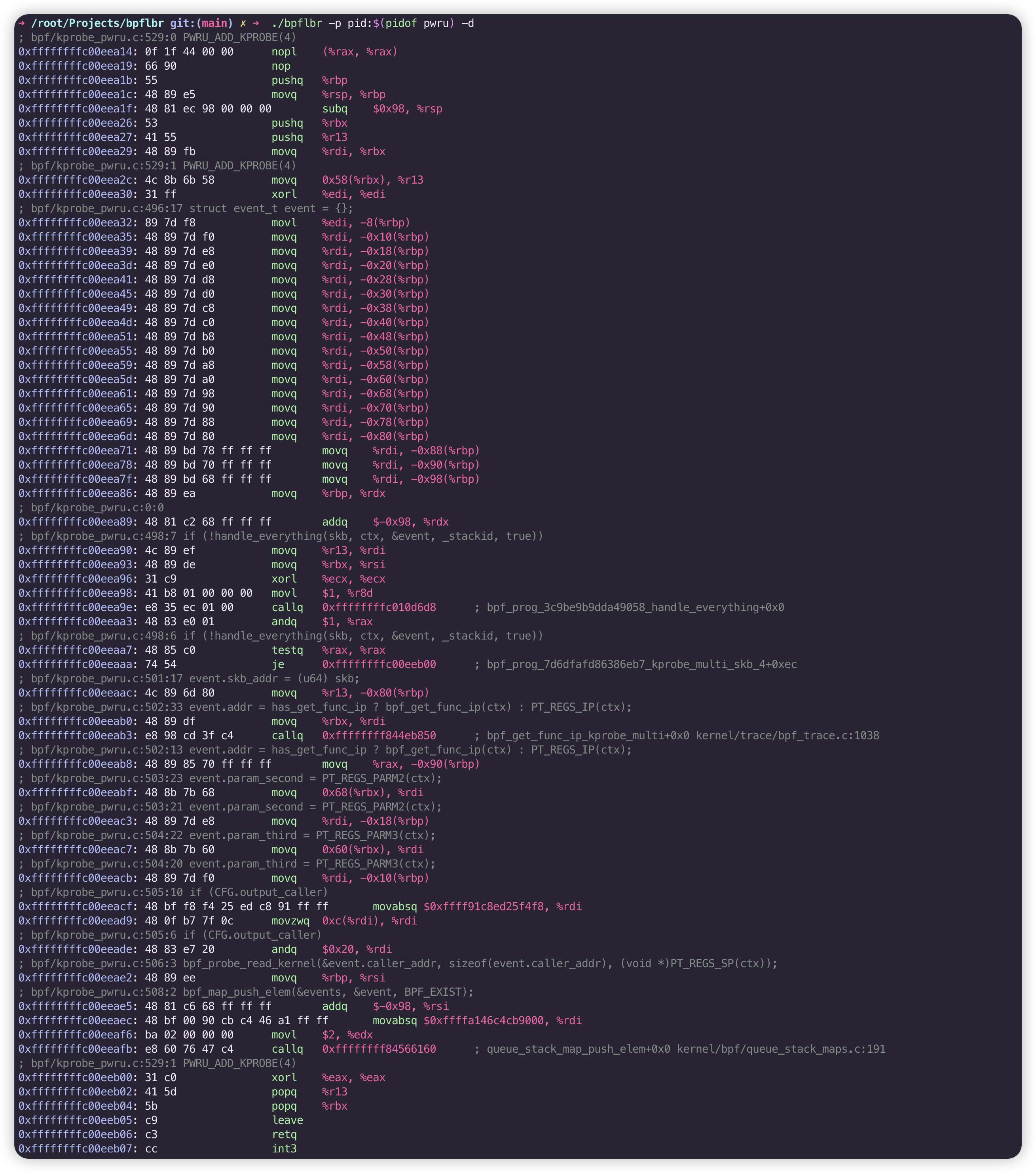 bpflbr disasm bpf prog