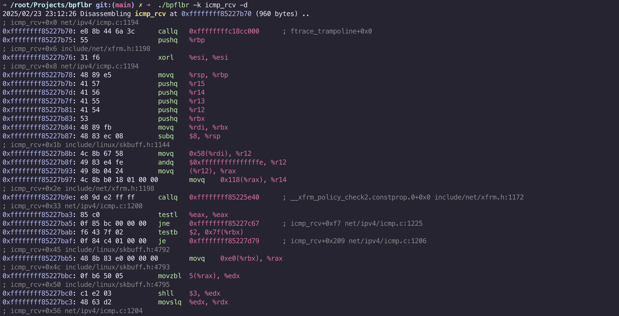 bpflbr disasm kfunc