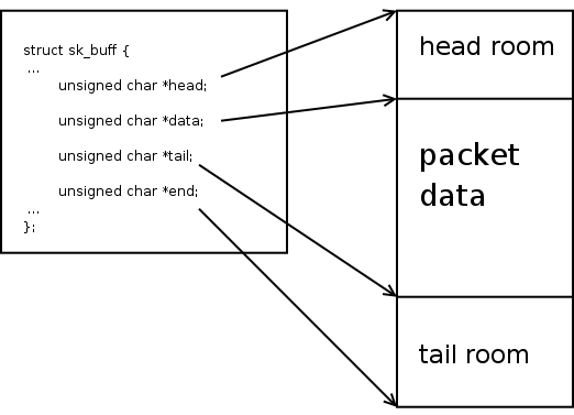 skb layout