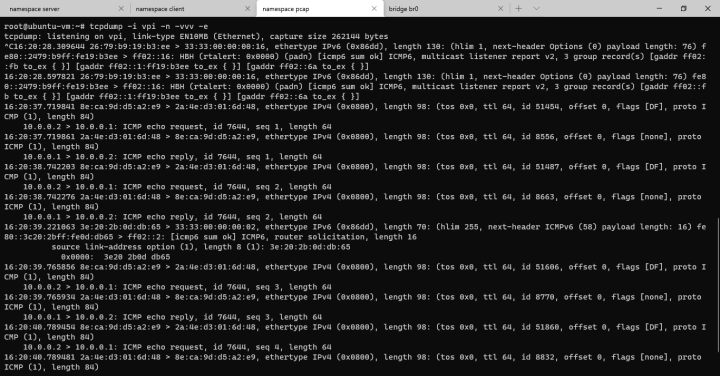ping with flood