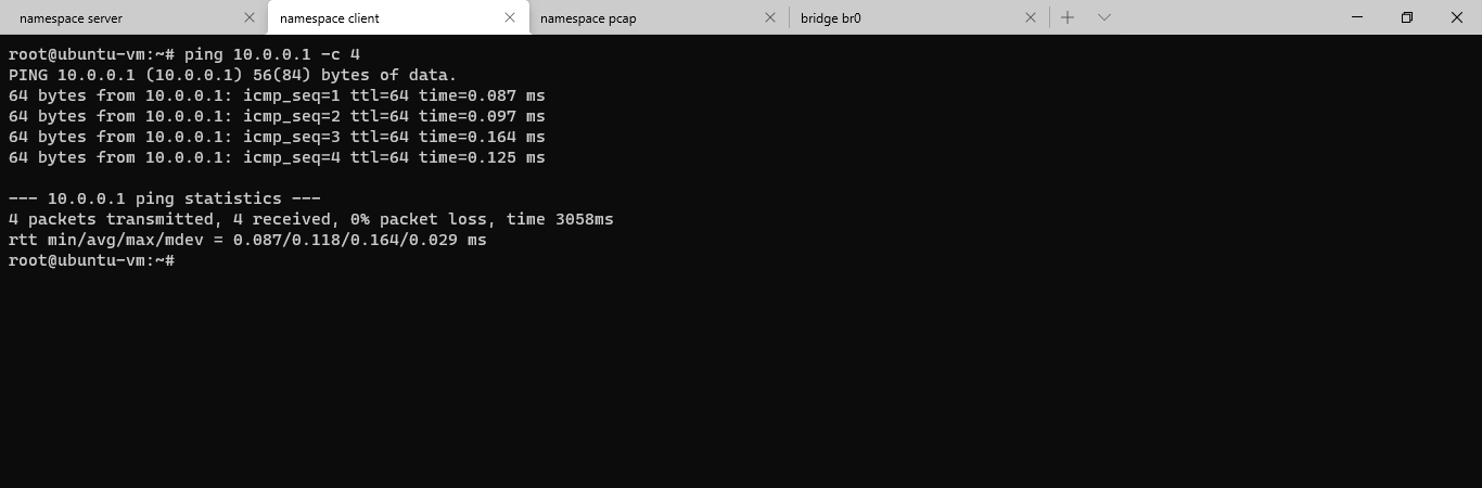 ping without flood