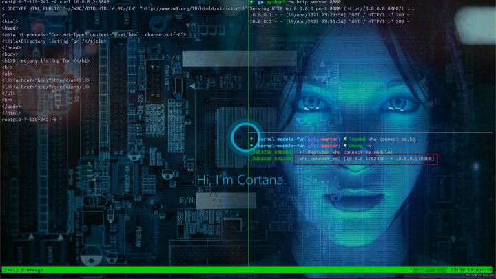 custom netfilter hook result