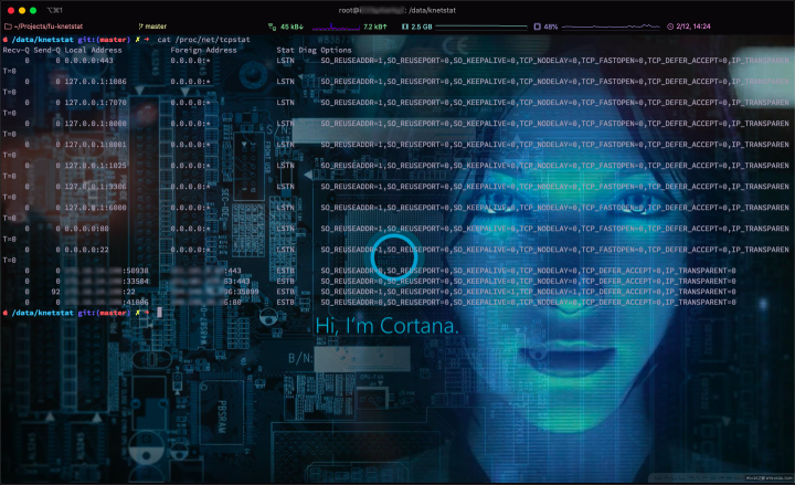 socket IP_TRANSPARENT option